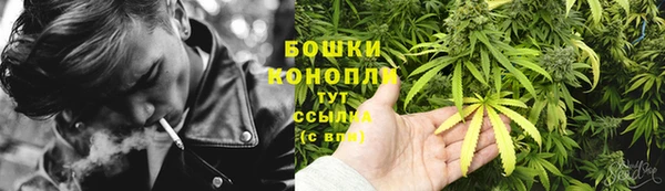 mdpv Арсеньев