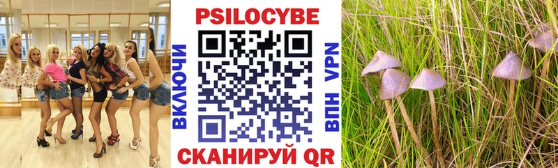 Псилоцибиновые грибы Psilocybine cubensis ссылка на мегу ссылки Большой Камень